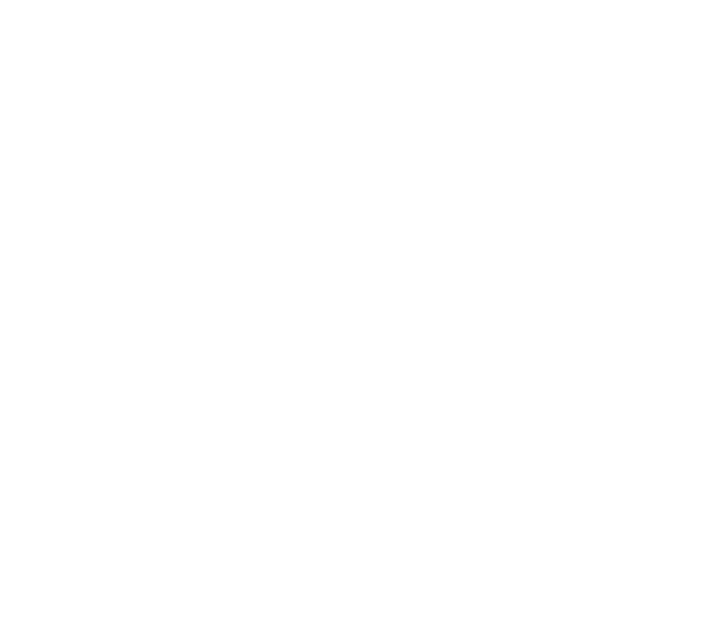The Qeuli hawk, the app's mascot
